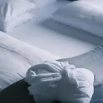 فندق Panoramahotel Fliesserhof