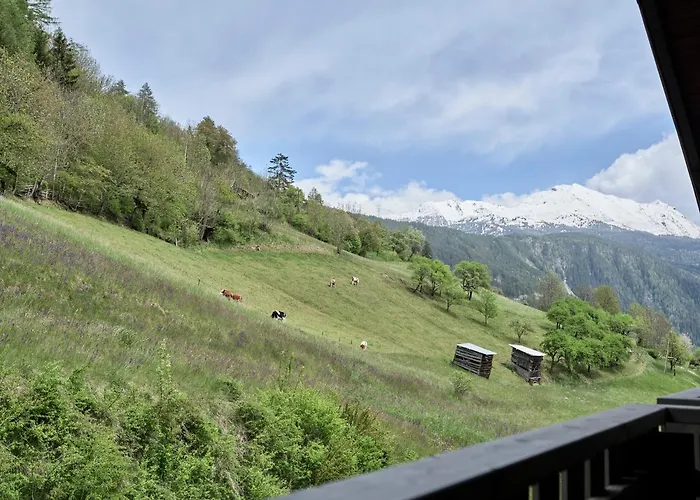 Panoramahotel Fliesserhof 3*