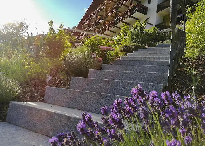 Hotel Panoramahotel Fliesserhof