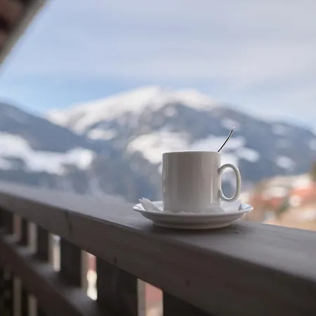 Panoramahotel Fliesserhof 3*