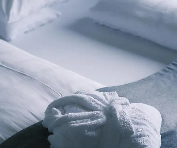 فندق Panoramahotel Fliesserhof