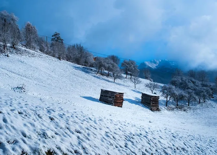 Panoramahotel Fliesserhof 3*