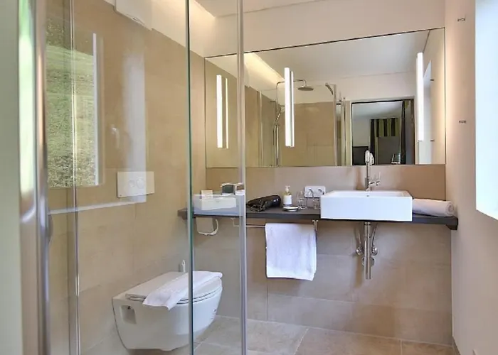 Panoramahotel Fliesserhof 3* فليس